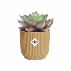 elho Vibes Fold Round Mini 7cm - Additional view 4