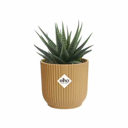 elho Vibes Fold Round Mini 7cm - Additional view 5