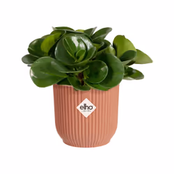 elho Vibes Fold Round Mini 9cm