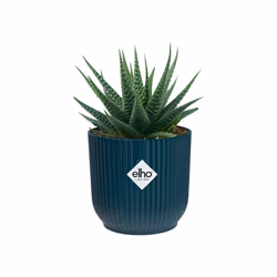 elho Vibes Fold Round Mini 9cm