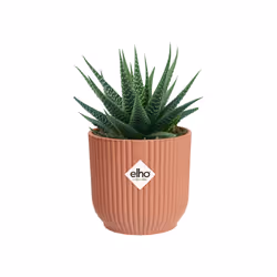 elho Vibes Fold Round Mini 11cm - Additional view 4