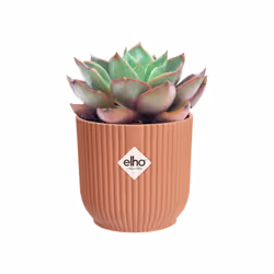 elho Vibes Fold Round Mini 11cm - Additional view 5