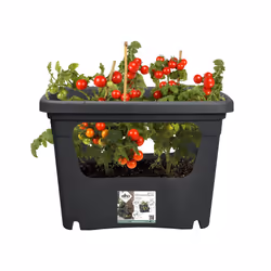 elho Green Basics Stack & Grow Large - Additional view 7