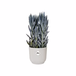 elho Vibes Fold Round Wheels 35cm