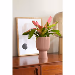 elho Vibes Fold Coupe 14cm - Additional view 7