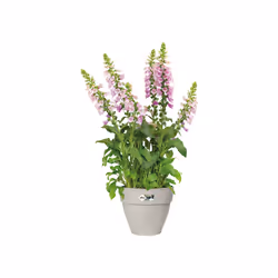 elho Vibia Campana Round 40cm - Additional view 4