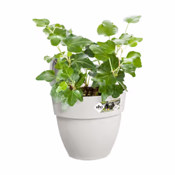 elho Vibia Campana Easy Hanger Small - Additional view 5