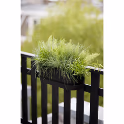 elho Greenville Easy Balcony 52cm - Additional view 6