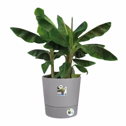 elho Greensense Aqua Care Round 43cm - Additional view 4