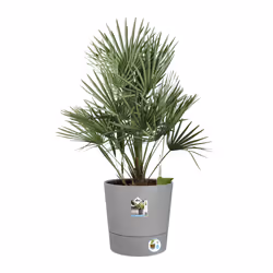 elho Greensense Aqua Care Round 43cm - Additional view 5