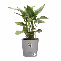 elho Greensense Aqua Care Round 43cm - Additional view 6