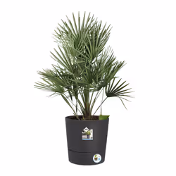 elho Greensense Aqua Care Round 43cm - Additional view 5
