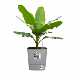 elho Greensense Aqua Care Square 30cm - Additional view 7