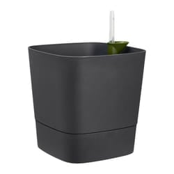 elho Greensense Aqua Care Square 30cm