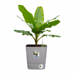elho Greensense Aqua Care Square 38cm - Additional view 6
