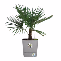elho Greensense Aqua Care Square 38cm - Additional view 7