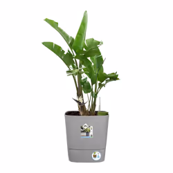 elho Greensense Aqua Care Square 38cm - Additional view 8