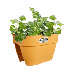 elho Vibia Campana Flower Bridge 40cm - Additional view 6