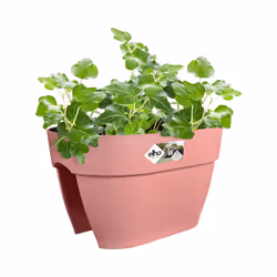 elho Vibia Campana Flower Bridge 40cm - Additional view 4