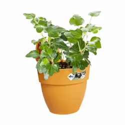 elho Vibia Campana Easy Hanger Small - Additional view 5