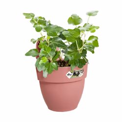 elho Vibia Campana Easy Hanger Small - Additional view 4