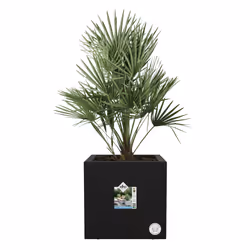 elho Vivo Next Square 30cm - Additional view 4