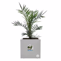 elho Vivo Next Square 30cm - Additional view 4