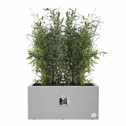 elho Vivo Next Long 60cm - Additional view 4