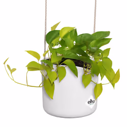 elho B.For Swing 18cm