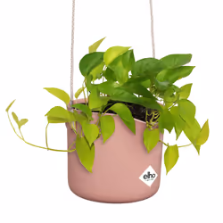 elho B.For Swing 18cm