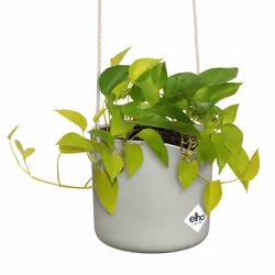 elho B.For Swing 18cm - Additional view 4
