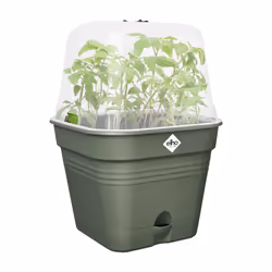 elho Green Basics Growpot Square Allin1 20cm - Additional view 5