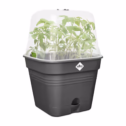 elho Green Basics Growpot Square Allin1 30cm - Additional view 4