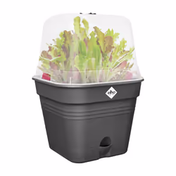 elho Green Basics Growpot Square Allin1 30cm - Additional view 5