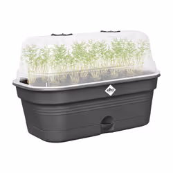elho Green Basics Grow Tray Allin1 L - Additional view 4