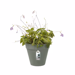 elho Loft Urban Green Wall Single 15cm