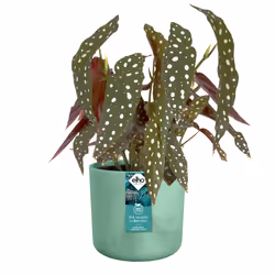 elho The Ocean Collection Round 18cm