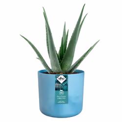 elho The Ocean Collection Round 18cm
