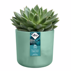 elho The Ocean Collection Round 22cm - Additional view 4