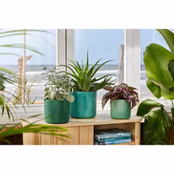 elho The Ocean Collection Round 22cm - Additional view 8