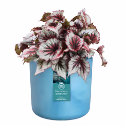 elho The Ocean Collection Round 22cm