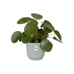 elho Vibes Fold Round Mini 11cm