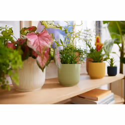 elho Vibes Fold Round Mini 11cm - Additional view 6