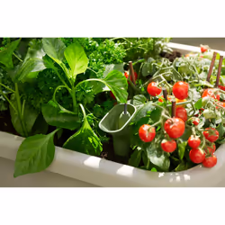 elho Noa Grow Table - Additional view 8