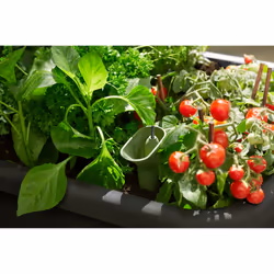 elho Noa Grow Table Living - Additional view 8