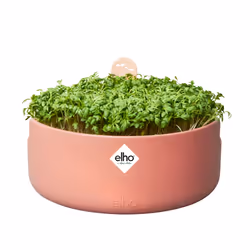 elho Magic Microgreens Toffee - Additional view 4