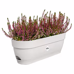 elho Vibia Campana Trough 50cm - Additional view 4