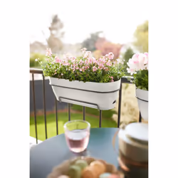 elho Vibia Campana Trough 50cm - Additional view 6