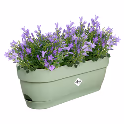elho Vibia Campana Trough 50cm