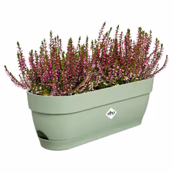 elho Vibia Campana Trough 50cm - Additional view 4